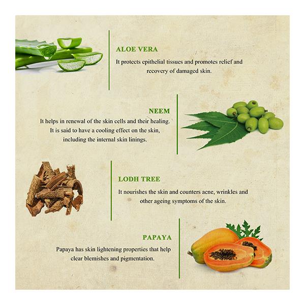 Bioayurveda Basics White Clay Anti-Blemish Face Pack Creme 120 gm - Face Packs