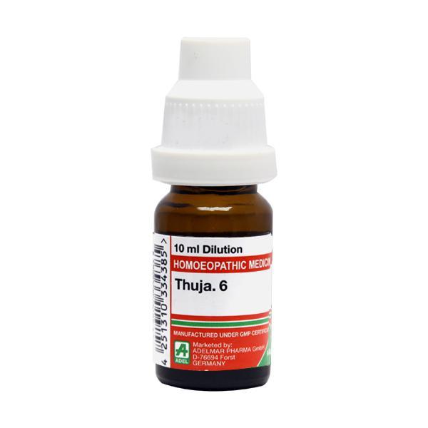 Adel Thuja. 6 Liquid 10 ml - Dilutions