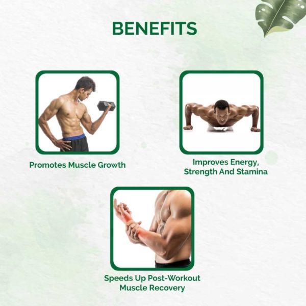 Dr. Vaidya's Herbobuild Capsule (Pack of 2 x 30's) - Speciality Medicines