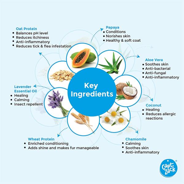 Capt. Zack Bling On The Shine Shampoo Spray (Pack of 2 x 50 ml) 1's - Pet Healthcare