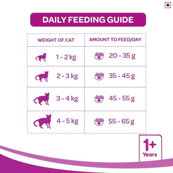 Whiskas Adult Mackerel Flavor 480 gm - Petfood