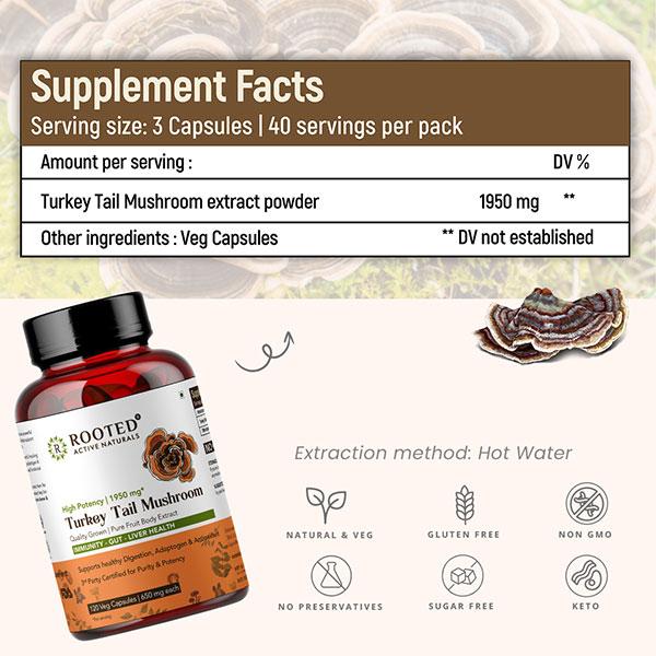 Rooted Active Naturals Turkey Tail Mushroom Veg Capsule 120's - Pure Herbs