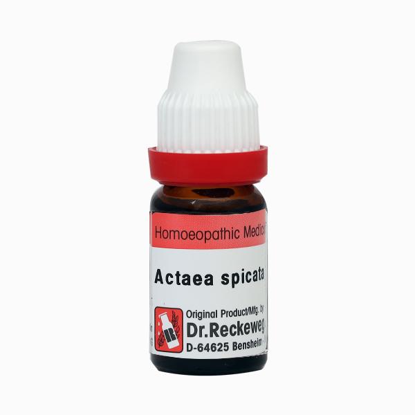 Dr. Reckeweg Agnus Castus 1M Liquid 11 ml - Dilutions