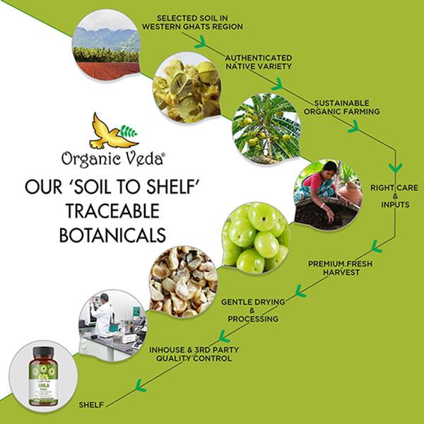 Organic Veda Amla Vitamin C 2000 mg Veg Capsule 120's - Pure Herbs