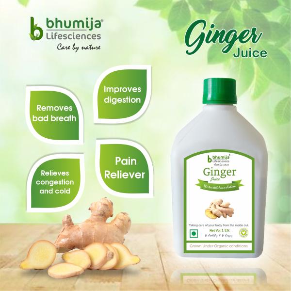 Bhumija Lifesciences Ginger Juice 1 litre - Ayurvedic Juices