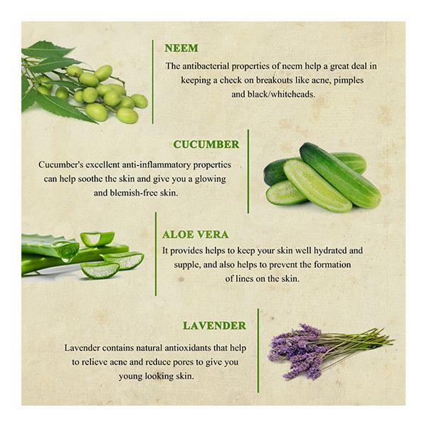 Bioayurveda Basics Purifying Miracle Face Wash 500 gm - Face Wash & Cleansers