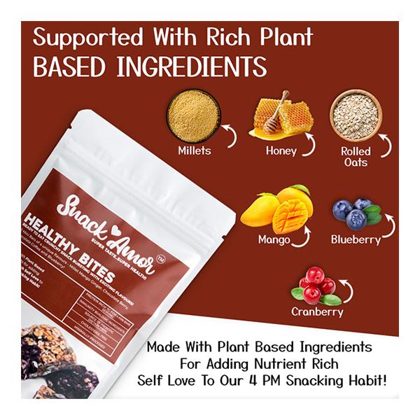 Snack Amor Healthy Bites Mini Bar (Pack of 2 x 150 gm) - Nutritional Bars
