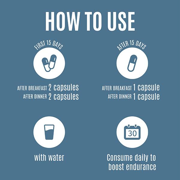 AADAR Endure 500 mg for Vigor that Lasts Capsule 60's - Sexual Healthcare