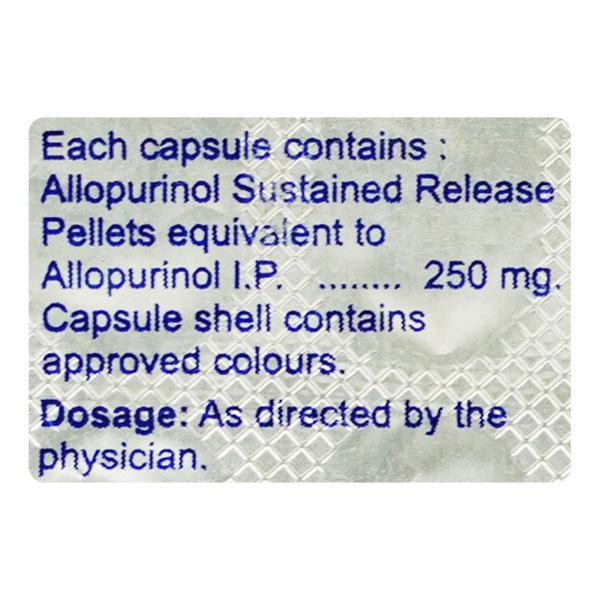 LOGOUT SR Capsule 10's - Gout