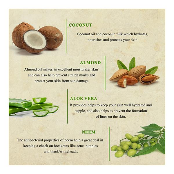Bioayurveda Basic Argan Shea Body Lotion 500 gm - Lotions & Creams