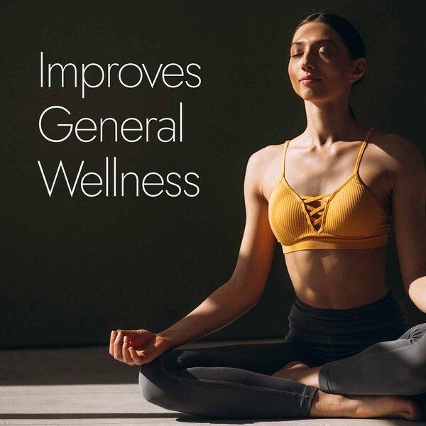 Kapiva Ayur Foods Moringa Plus Capsules 60's - Pure Herbs