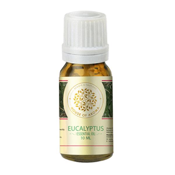 Netmeds | House of Aroma Essential Oil - Eucalyptus 10 ml