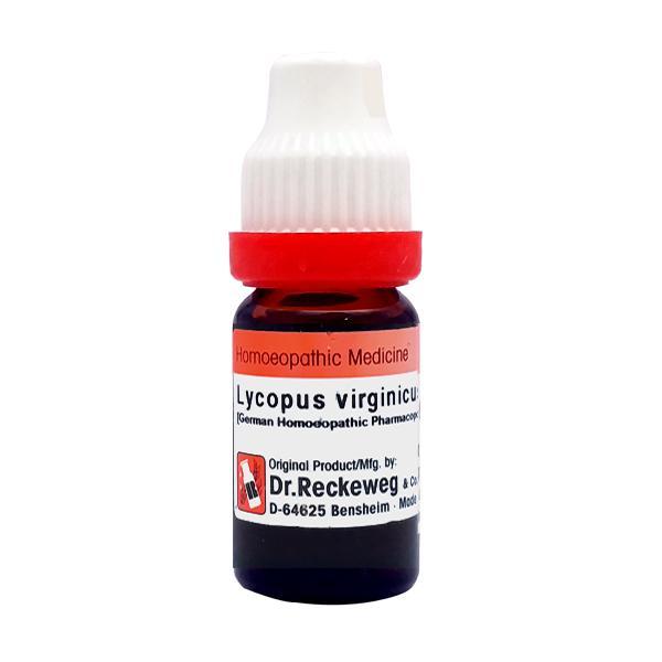 Dr. Reckeweg Lycopus Virginicus 200 Liquid 11 ml - Dilutions