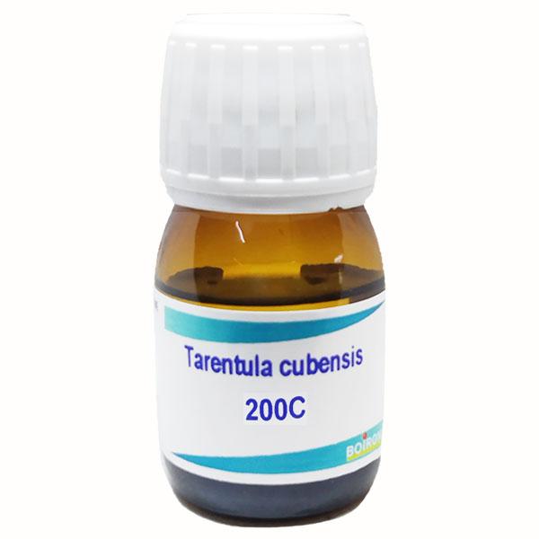 Netmeds | Boiron Tarentula Cubensis 200C Liquid 20 ml