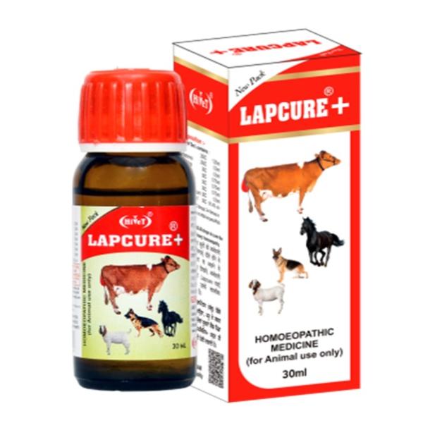 Netmeds | Lapcure+ Liquid 30 ml