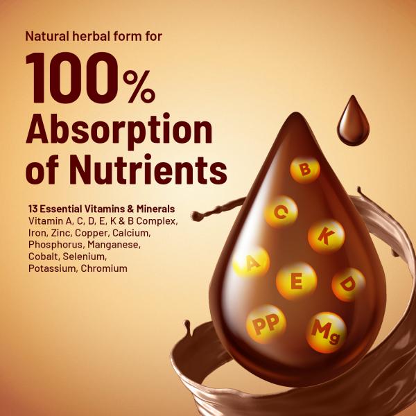 Gynoveda Ayurvedic Multi Vitamin Malt Powder - Ragi & Jaggery Chocolate (Pack of 2 x 250 gm) 1's - Herbal Dietary Supplement