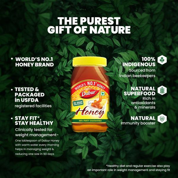 Dabur Honey 500 gm - Honey