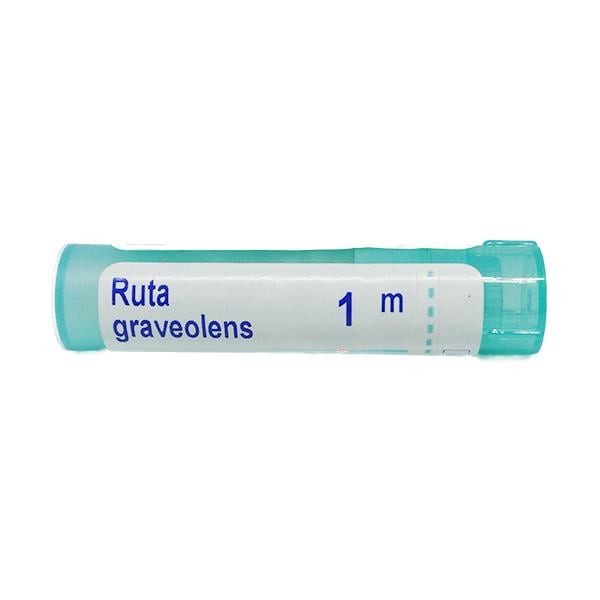 Boiron Ruta Graveolens 10M Multi Dose PELLETS 4 GM - Speciality Medicine