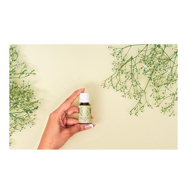 House of Aroma Essential Oil - Eucalyptus 10 ml - Essential Oils