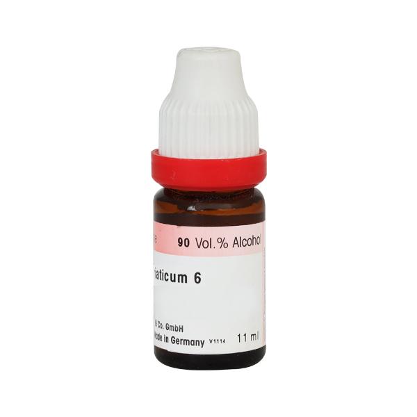 Dr. Reckeweg Ammonium Muriaticum 6 Liquid 11 ml - Dilutions