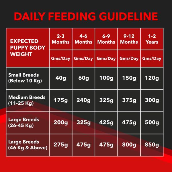Drools Focus Puppy Super Premium Dog Food 4000 gm - Petfood