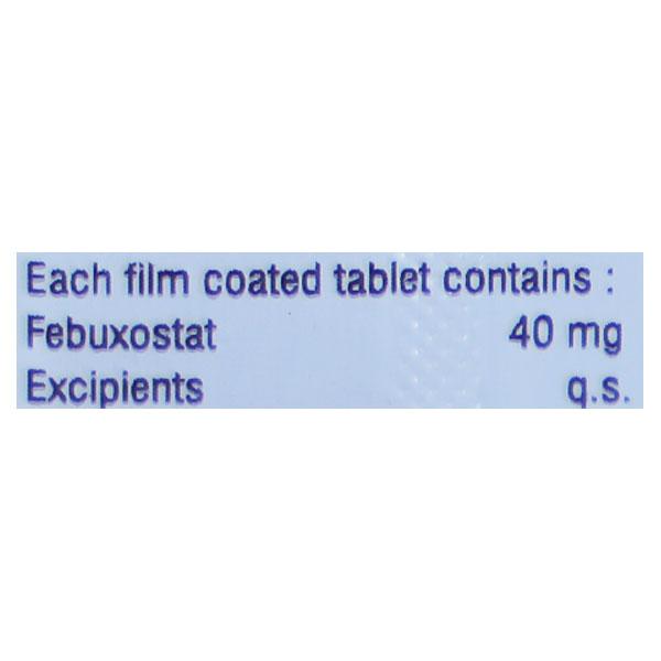 FBDAY 40 Tablet 10's - Gout