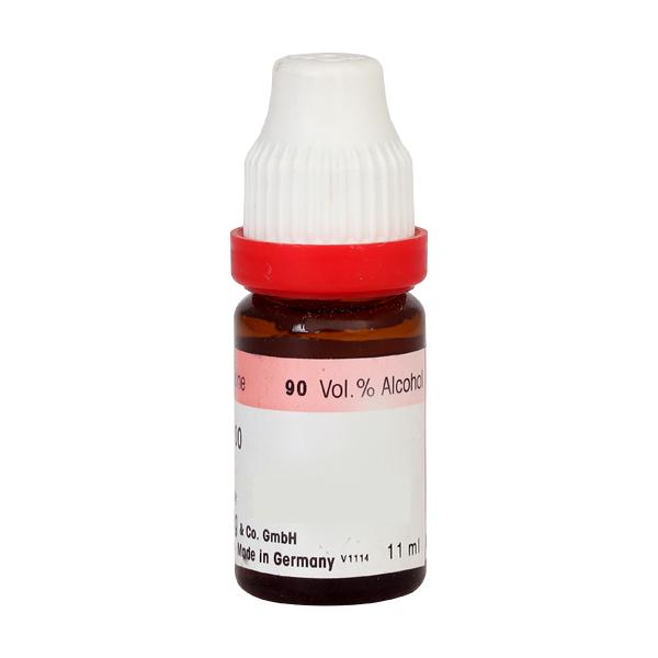 Dr. Reckeweg Abrotanum 10M Liquid 11 ml - Dilutions