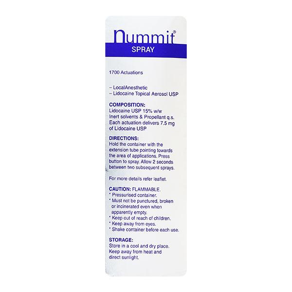Nummit Fresh Mint Flavour Spray 100gm - Anaesthesia - Local-Ana