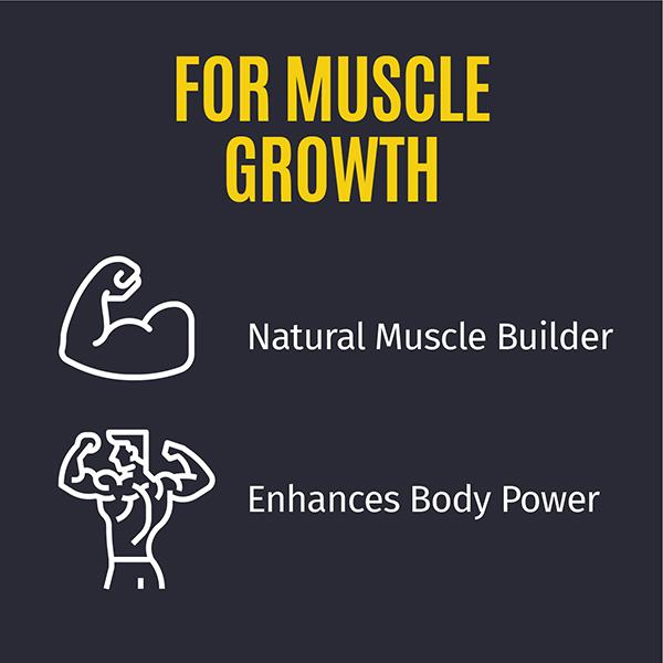 AADAR Power Build for Muscle Growth 500 mg Capsule (Pack of 3 x 30's) - General Health