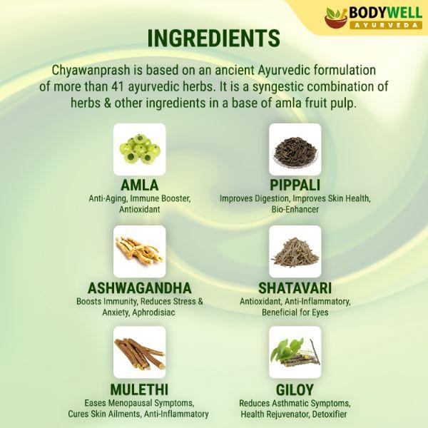 Bodywell Chyawanprash Paste (Pack of 2 x 600 gm) - Chyawanprash