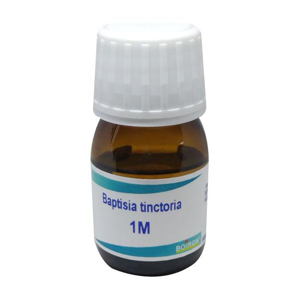 Netmeds | Boiron Baptisia Tinctoria 1M Liquid 20 ml
