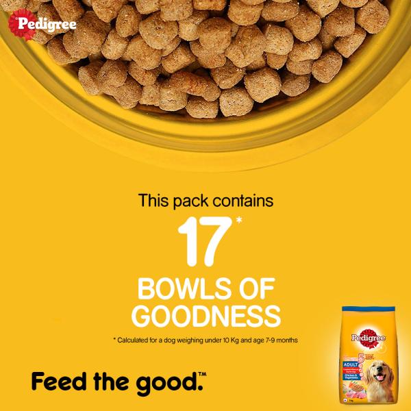 Pedigree Adult Chicken & Vegetables 1 kg - Petfood