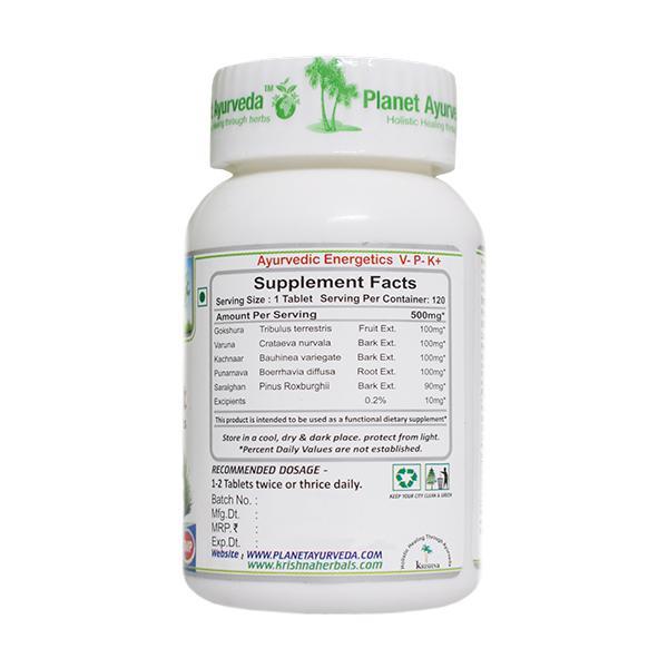 Planet Ayurveda Prostate Support Tablet 120's - Speciality Medicines