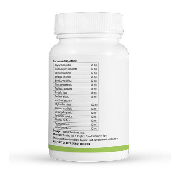 Vogue Wellness Vogliv-DS Tablet (Pack of 2 x 90's) - Speciality Medicines