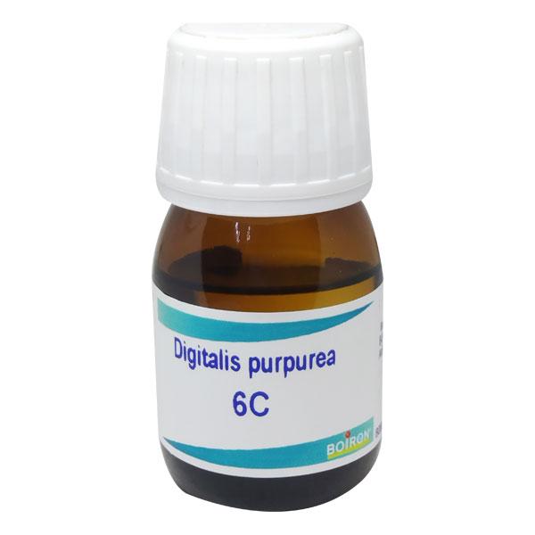 Netmeds | Boiron Digitalis Purpurea 6C Liquid 20 ml