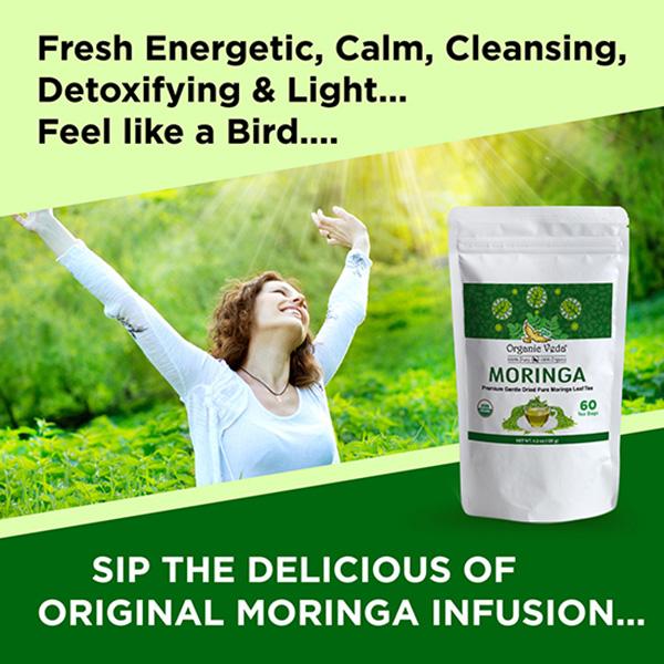 Organic Veda Premium Moringa Leaf Tea Bags 60's - Teas