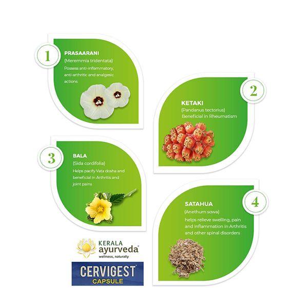 Kerala Ayurveda Cervigest Capsule 90's - Speciality Medicines