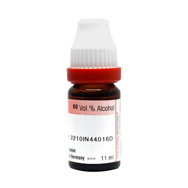 Dr. Reckeweg Bryonia Alba 1M Liquid 11 ml - Dilutions