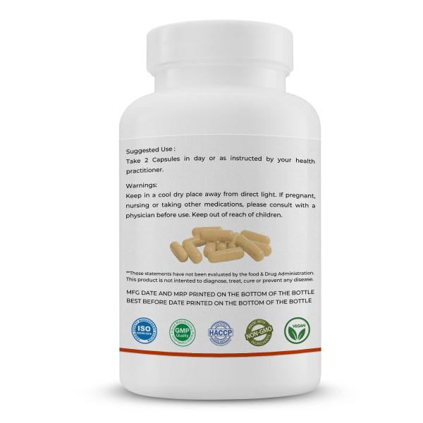 Goldenacacia Herrbals Ashwagandha 500 mg Capsule 240's - Ashwagandha