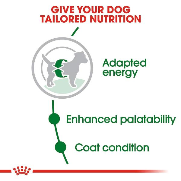 Royal Canin Mini Adult Dog Food - (All Small Dogs Upto 10 kg) 4 kg - Petfood