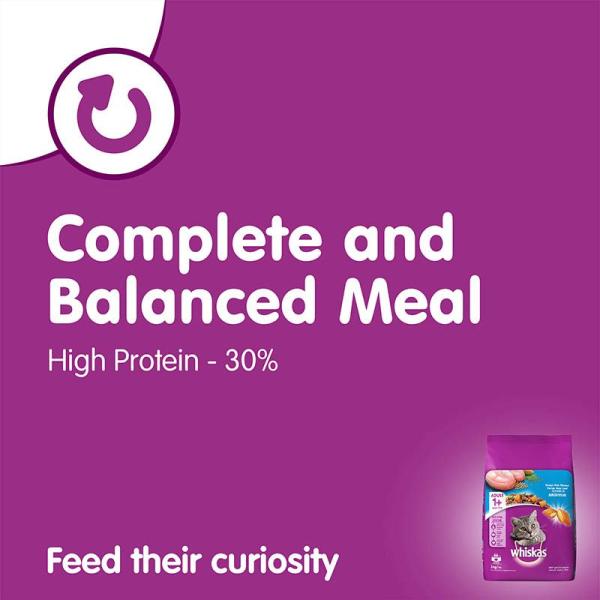 Whiskas Junior Ocean Fish Flavor with Milk 3000 gm - Petfood