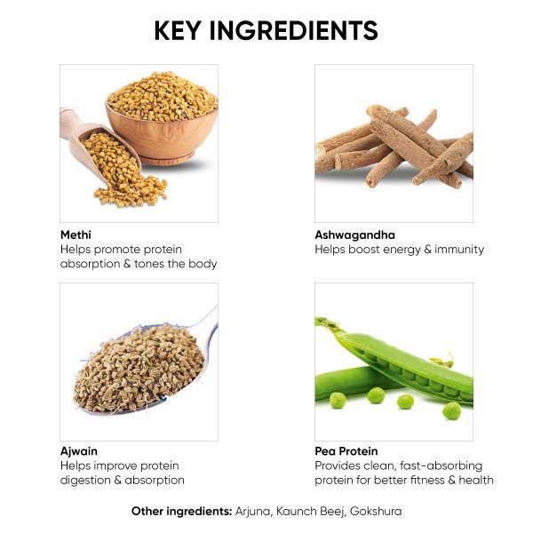 Dr. Vaidya's Plant Protein Powder - Cookies and Cream 500 gm - Protein Drink