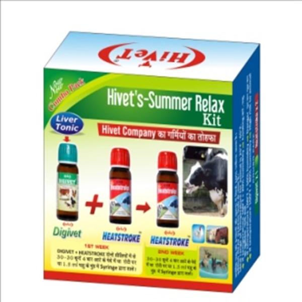 Netmeds | Summer Relax Kit (Heatstroke 2's x 30 ml + Digivet 1's x 30 ml) 1's