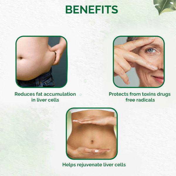 Dr. Vaidya's Liver Care Capsule 30's - Speciality Medicines