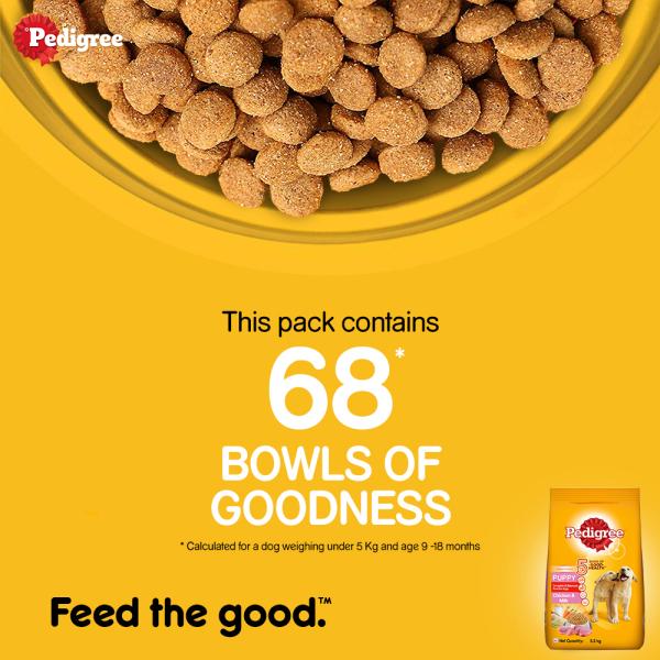 Pedigree Puppy Chicken & Milk 5.5 kg - Petfood