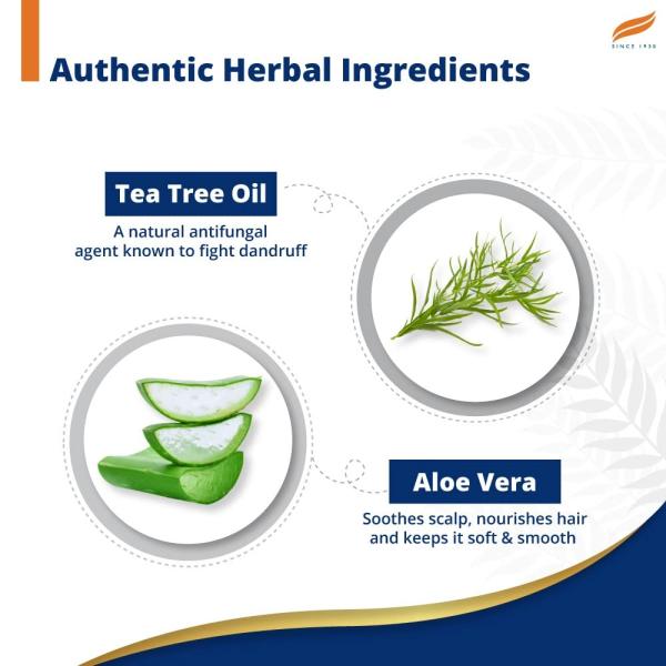 Himalaya Anti-Dandruff Tea Tree Shampoo 180 ml - Shampoos