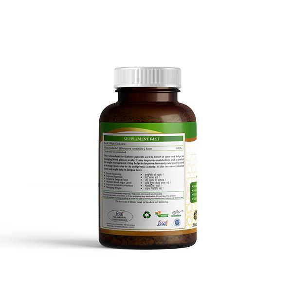 Puyur Ayurveda Giloy Guduchi Powder 100 gm - Giloy