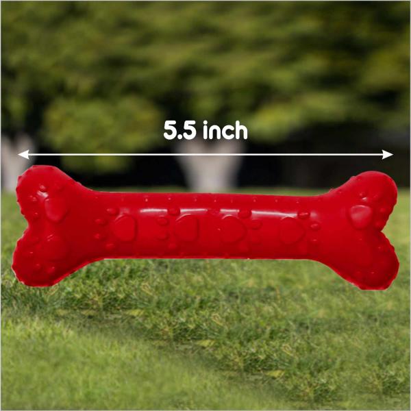 Drools Non-Toxic Rubber Dog Chew Bone Toy, Puppy/Dog Teething Toy (Medium) - 5 inches 1's - Pet accessories