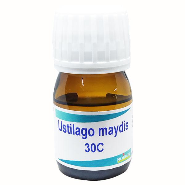 Netmeds | Boiron Ustilago Maydis 30C Liquid 20 ml