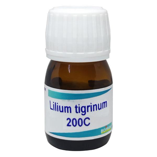 Netmeds | Boiron Ledum Palustre 200C Liquid 20 ml